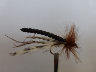 Size 12 Foam Daddy Legs Black